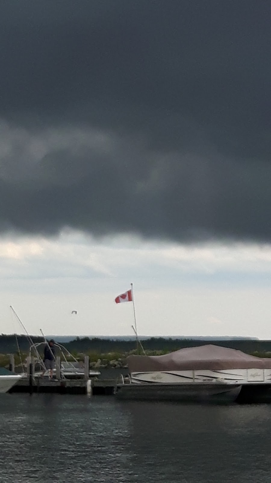 Bayhaven Camp | 17 Government Dock Rd, Stokes Bay, ON N0H 2M0, Canada | Phone: (519) 319-4004