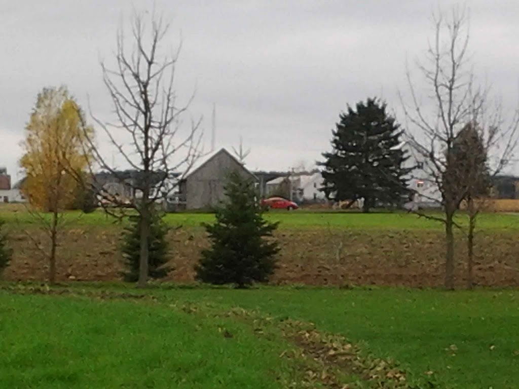 Ferme Hofmatters inc. | 410 6 Rang, Saint-Sylvère, QC G0Z 1H0, Canada | Phone: (819) 285-2037