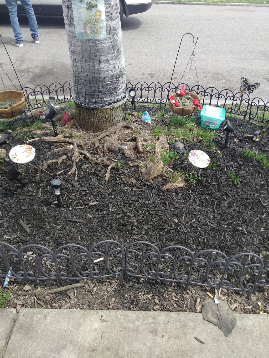 Eddie Dawson Park | Roetzer St, Buffalo, NY 14211, USA