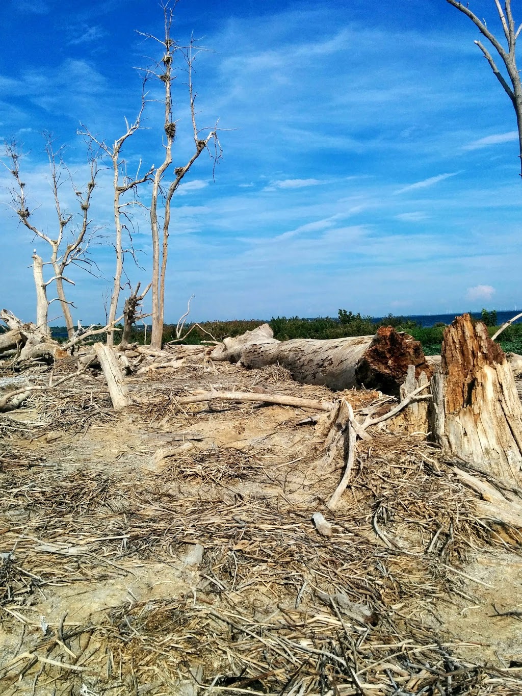 "East" Brothers Islands | Odessa, ON K0H 2H0, Canada