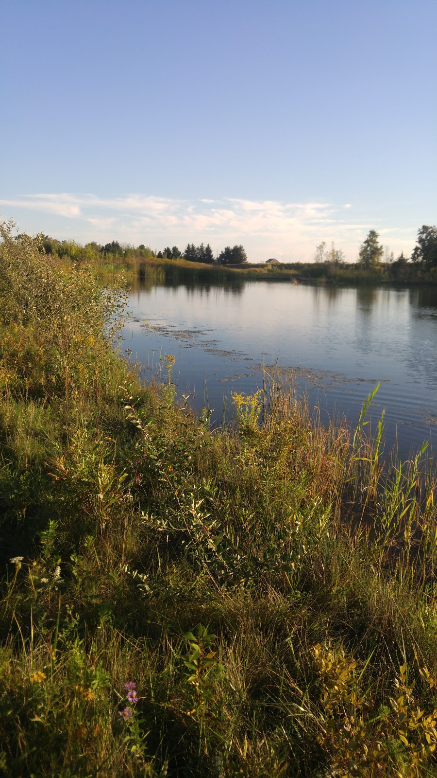 Heber Down Conservation Area - parking lot | Whitby, ON L1P 2A3, Canada