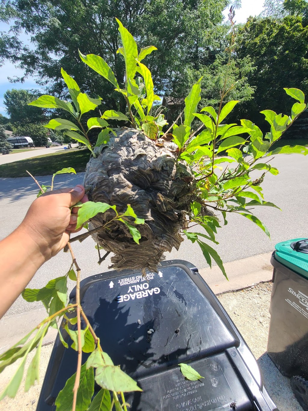 Mr. EXTERMINATOR | 793016, Simcoe road 124, Singhampton, ON N0C 1M0, Canada | Phone: (705) 888-0029