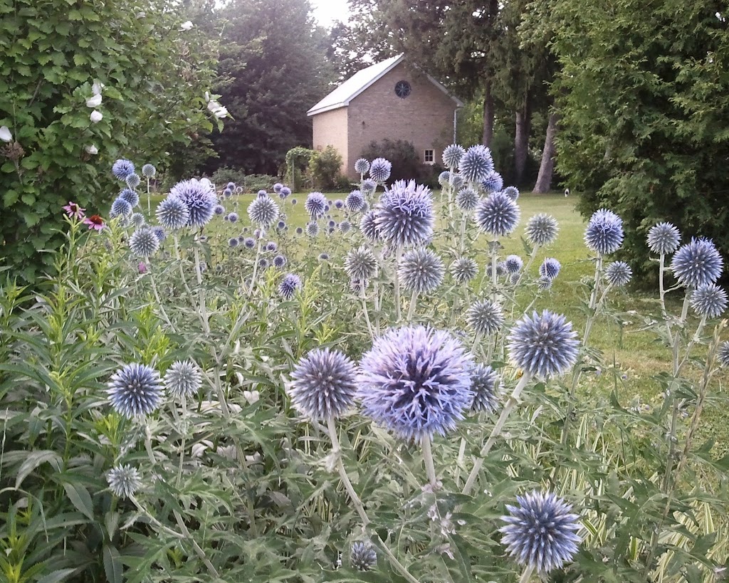 Victorian Pines Bed and Breakfast | 64 Main St, Glencoe, ON N0L 1M0, Canada | Phone: (519) 287-9909