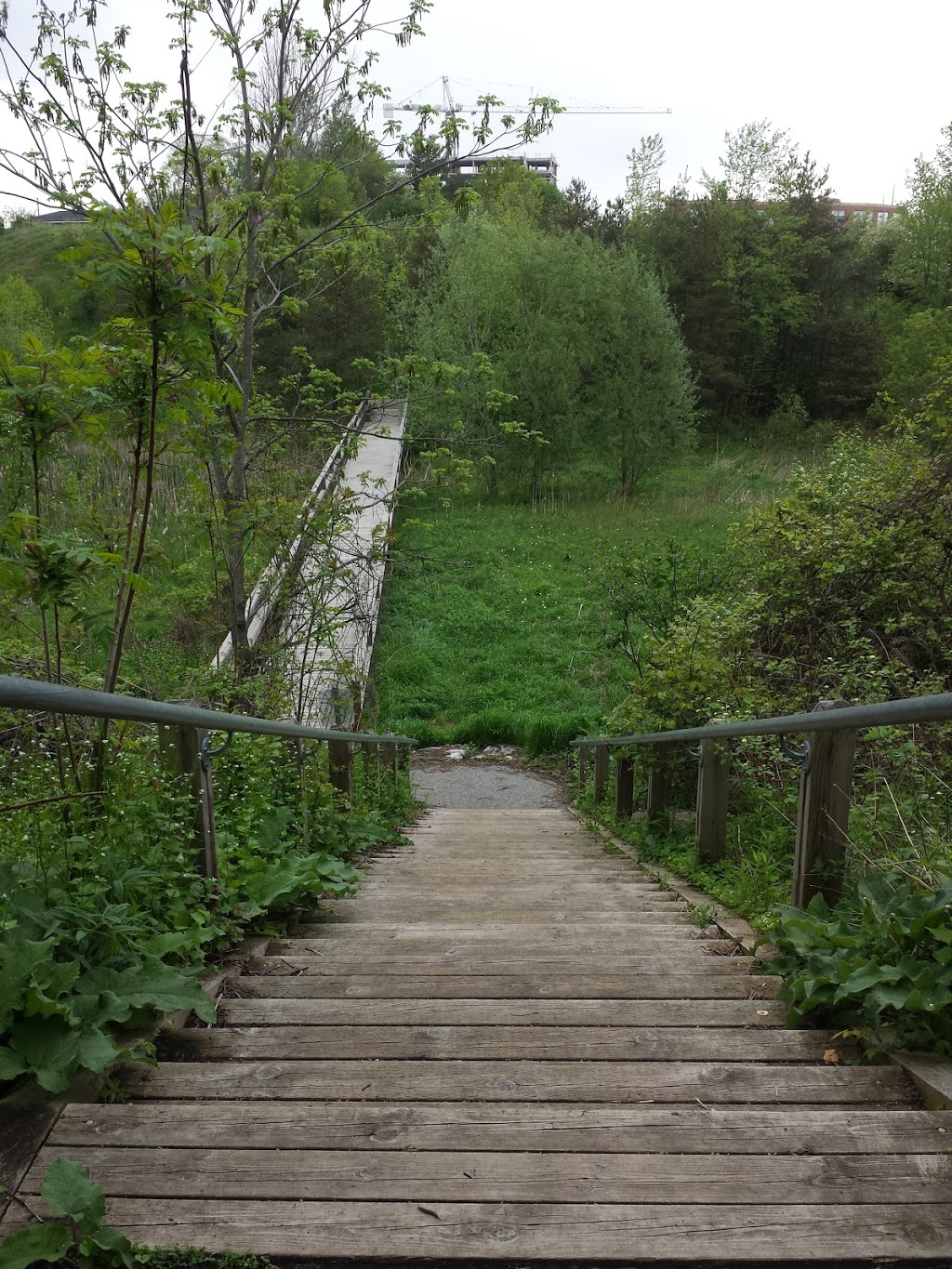Saigeon Trail | Richmond Hill, ON L4E 4C2, Canada | Phone: (905) 771-8830