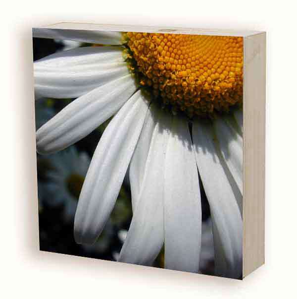 AION ART GALLERY | 3879 2nd Ave, Burnaby, BC V5C 3W7, Canada | Phone: (778) 379-9119