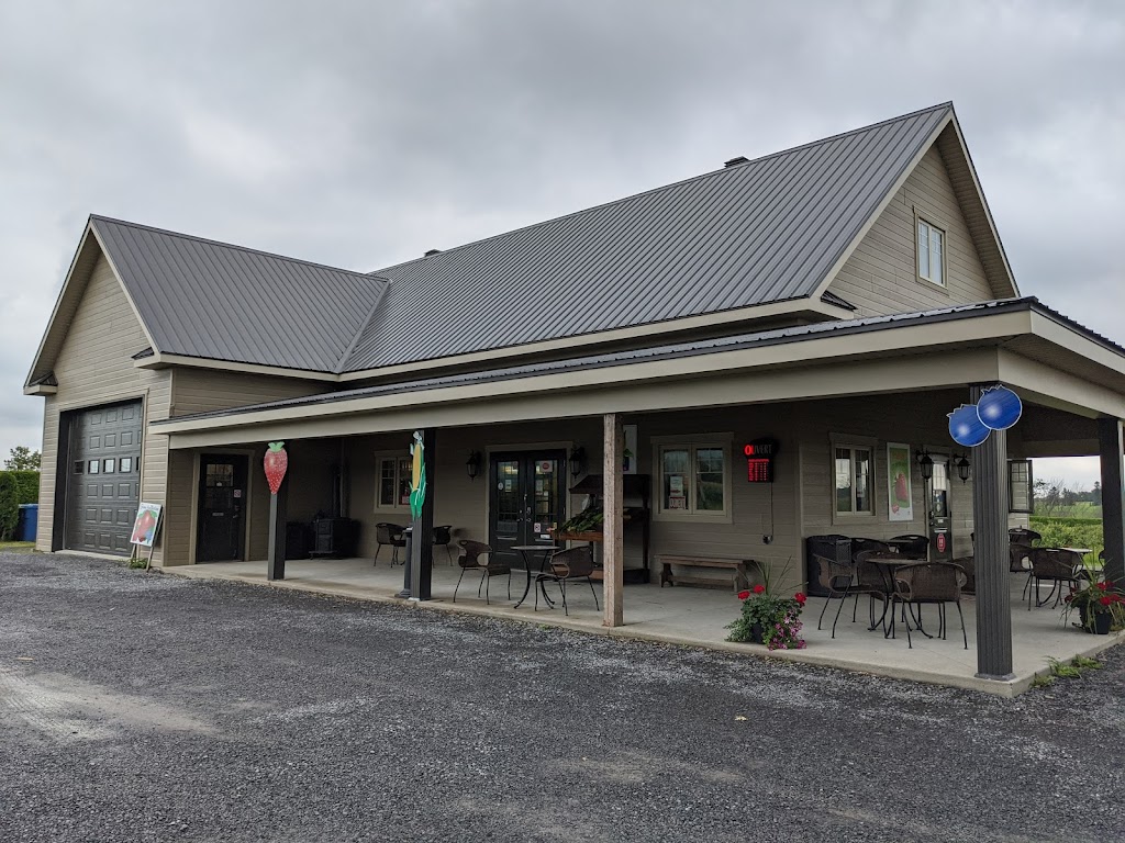Leblanc Petits Fruits | 3756 Chem. de Kildare, Rawdon, QC J0K 1S0, Canada | Phone: (450) 834-3518