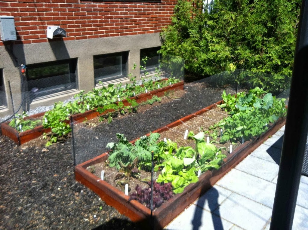 Urban Seedling | 7000 Boulevard LaSalle, Verdun, QC H4H 2T1, Canada | Phone: (514) 578-8900