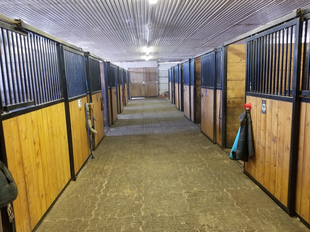 Seven Pines Stables | 1297 Eldon Rd, Kawartha Lakes, ON K0M 2M0, Canada | Phone: (705) 953-9602