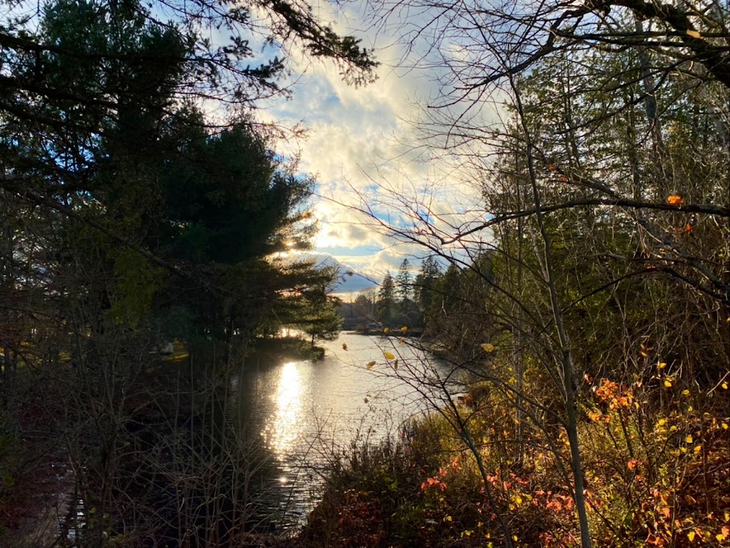 Lions Park | Dam Trail, Magnetawan, ON P0A 1P0, Canada | Phone: (705) 387-3947