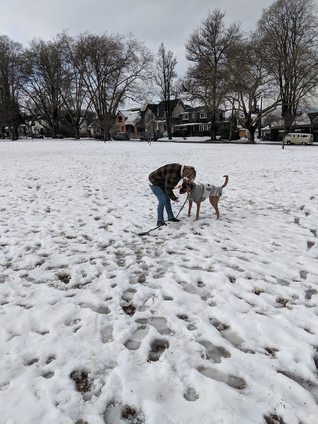 Valdez Park | 3210 W 22nd Ave, Vancouver, BC V6L 1N2, Canada