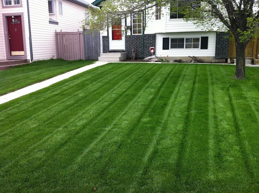 Green with Envy Lawn and Garden Care Ltd | 378 Sagewood Dr SW, Airdrie, AB T4B 3N2, Canada | Phone: (587) 360-3689