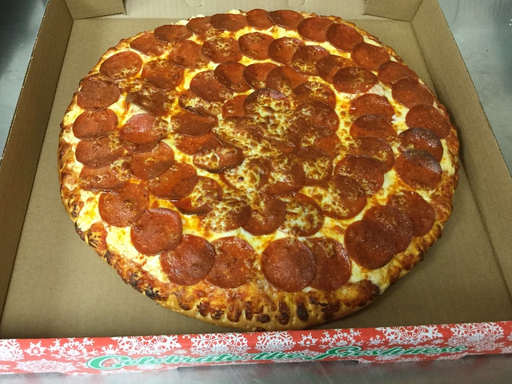 Pizza Depot | 160 Centennial Pkwy N Unit # 2, Hamilton, ON L8E 1H9, Canada | Phone: (905) 525-9711