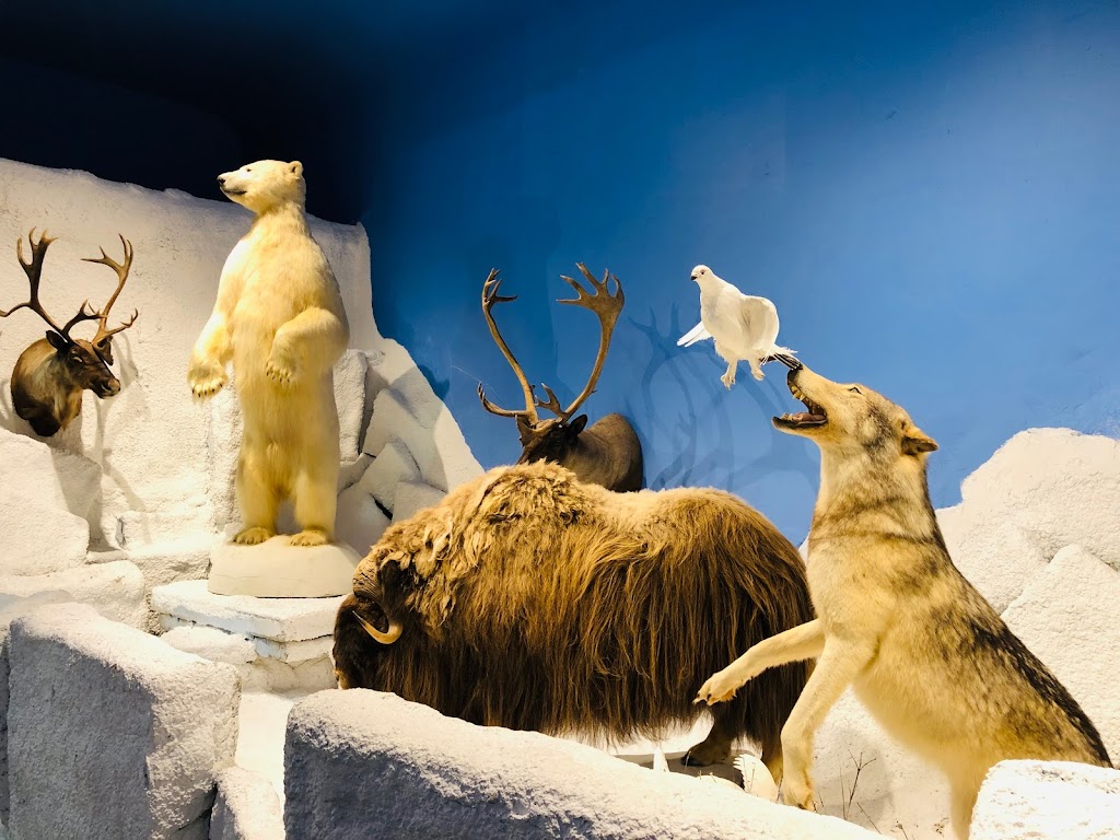 Sherman Hines Museum Of Photography | 205 Church St, Liverpool, NS B0T 1K0, Canada | Phone: (902) 354-3067