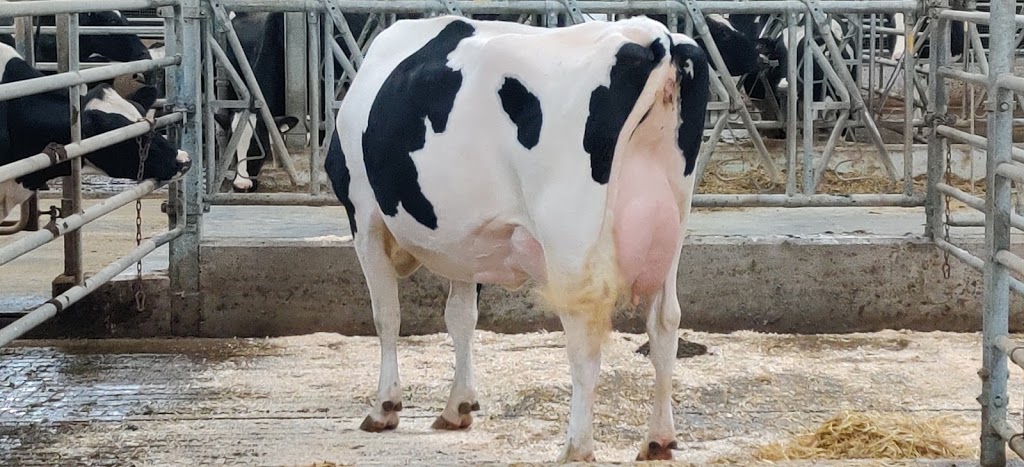 Heather Holme Holtseins | 36682 Gore Rd, Goderich, ON N7A 3Y3, Canada | Phone: (519) 524-4696