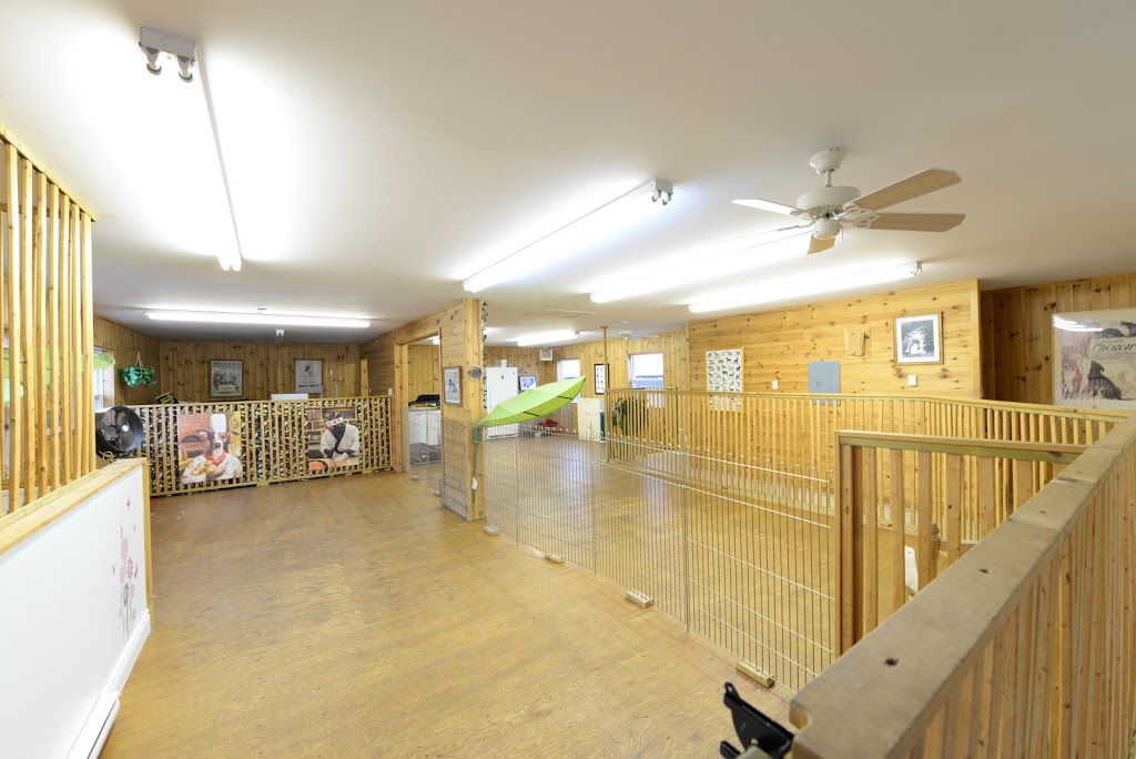 Auberge des 4 Pattes | 555 Rue Chef Thomas Martin, Wendake, QC G0A 4V0, Canada | Phone: (418) 843-6578