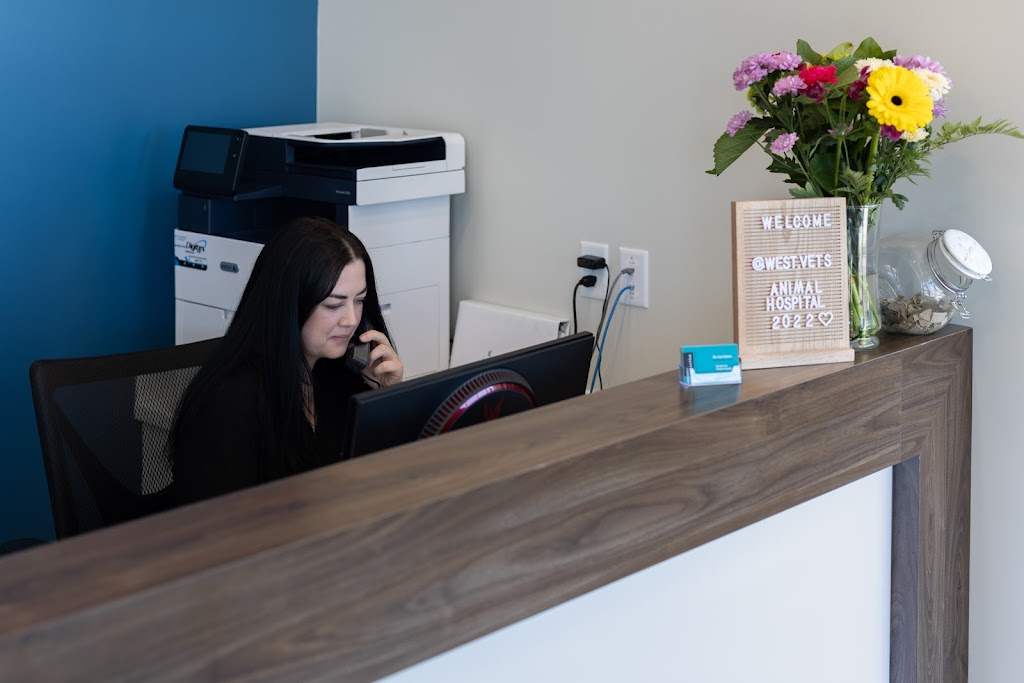 WestVets Animal Hospital | 876 Heritage Blvd W Unit 150, Lethbridge, AB T1K 8G1, Canada | Phone: (587) 425-6733