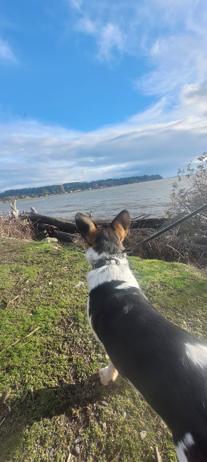 Courtenay Airpark Water Aerodrome | 140 20th St, Courtenay, BC V9N 2B5, Canada | Phone: (250) 897-9220