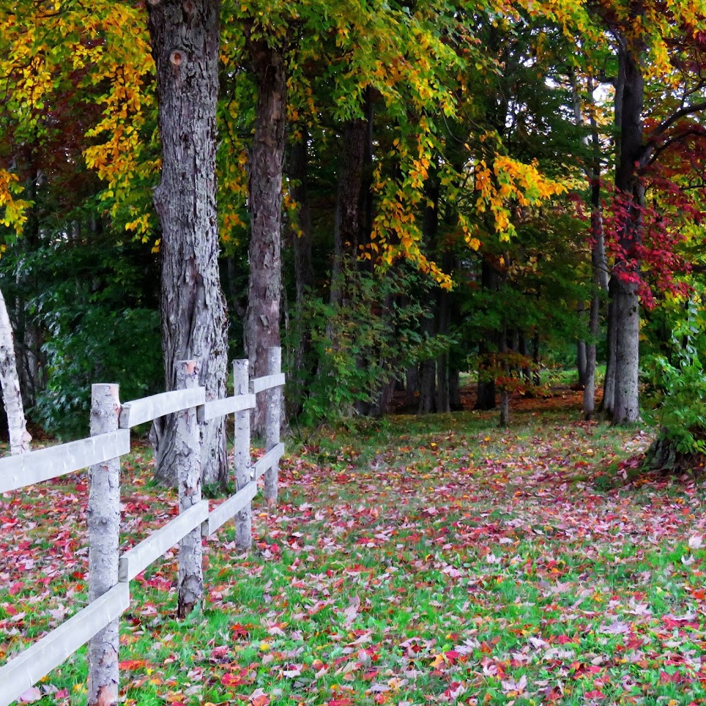 Discover the Maritimes | 16 Kelly Dr Apt B5, Miscouche, PE C0B 1T0, Canada | Phone: (902) 786-1416