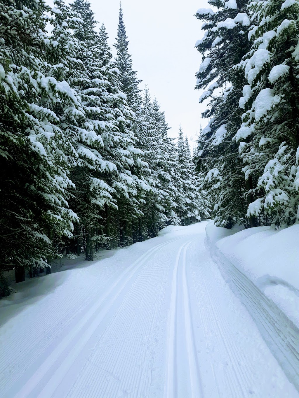 Camp Mercier | Réserve Faunique des Laurentides, Route 175, Lac-Jacques-Cartier, QC G0A 3K0, Canada | Phone: (418) 848-2422