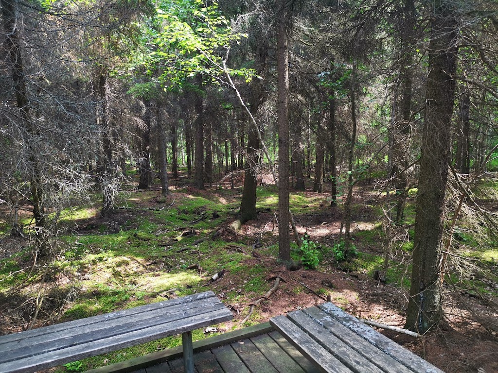 Strathcona Wilderness Centre | 52535 Range Rd 212, Ardrossan, AB T8G 2E9, Canada | Phone: (780) 922-3939