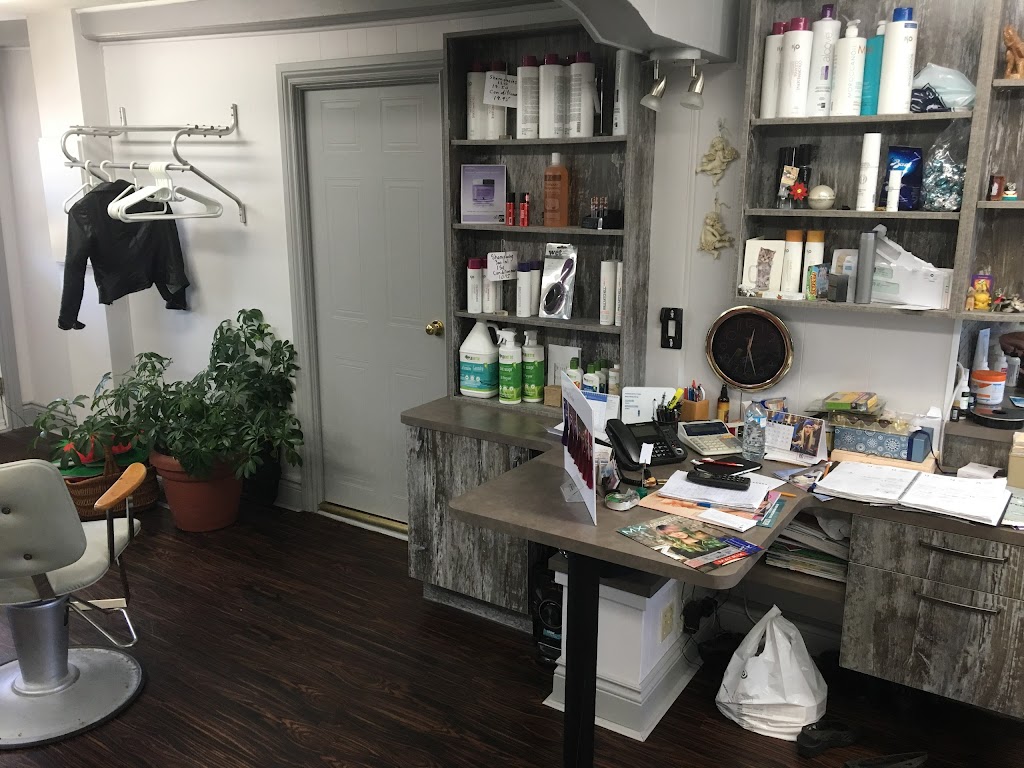Salon Elite | 113a Boulevard Saint-Elzéar O, Laval, QC H7M 1E7, Canada | Phone: (450) 669-2378