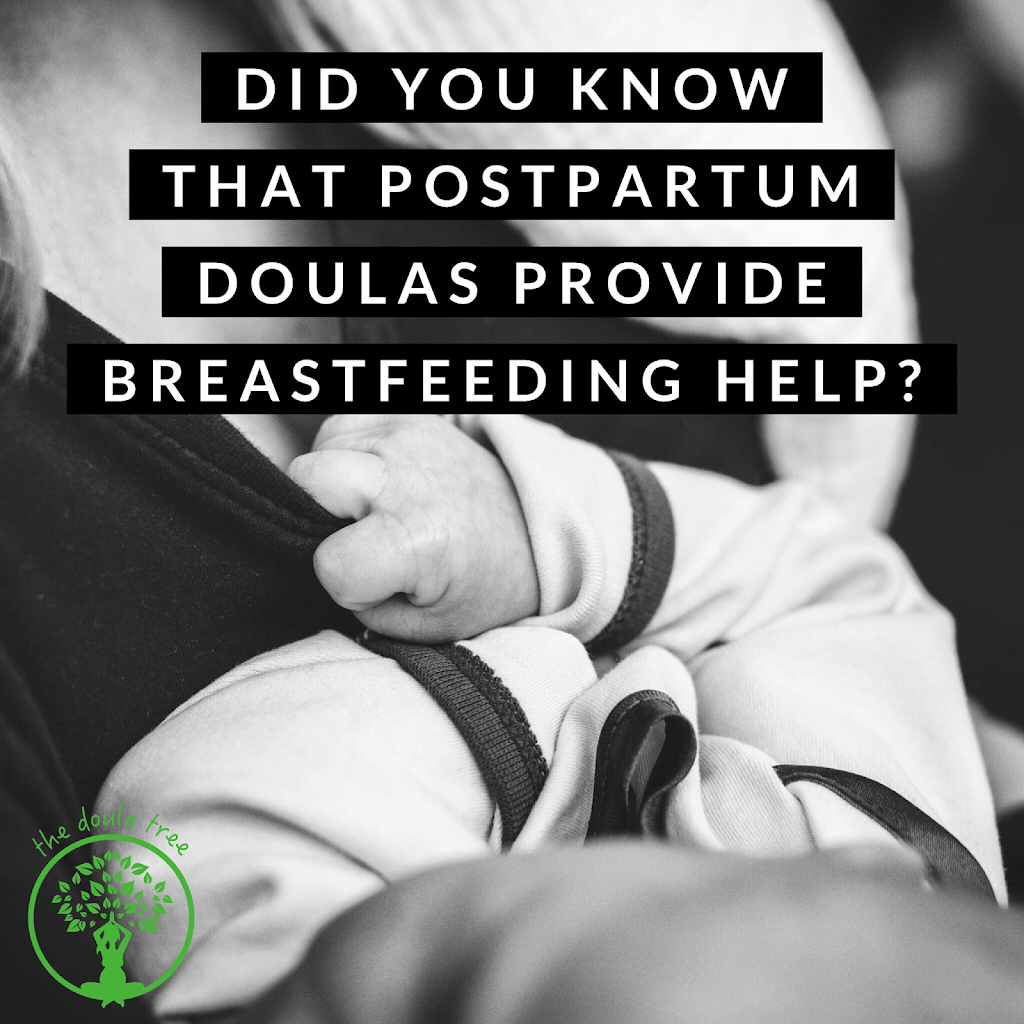 The Doula Tree | 127 St James St S, Waterford, ON N0E 1Y0, Canada | Phone: (905) 869-2069