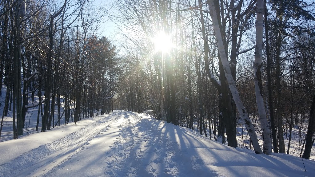 Parc Ian Breakey | 47 Rue Sainte-Hélène, Sainte-Hélène-de-Breakeyville, QC G0S 1E2, Canada