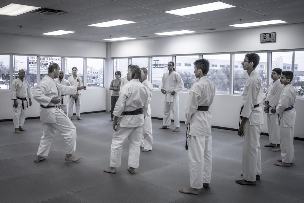Nam Karate Do | 683 Innovation Dr Unit 4, Kingston, ON K7K 7K5, Canada | Phone: (613) 328-6742