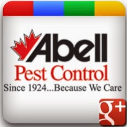 Abell Pest Control | 510 Topsail Rd, St. Johns, NL A1E 2C2, Canada | Phone: (709) 700-9825