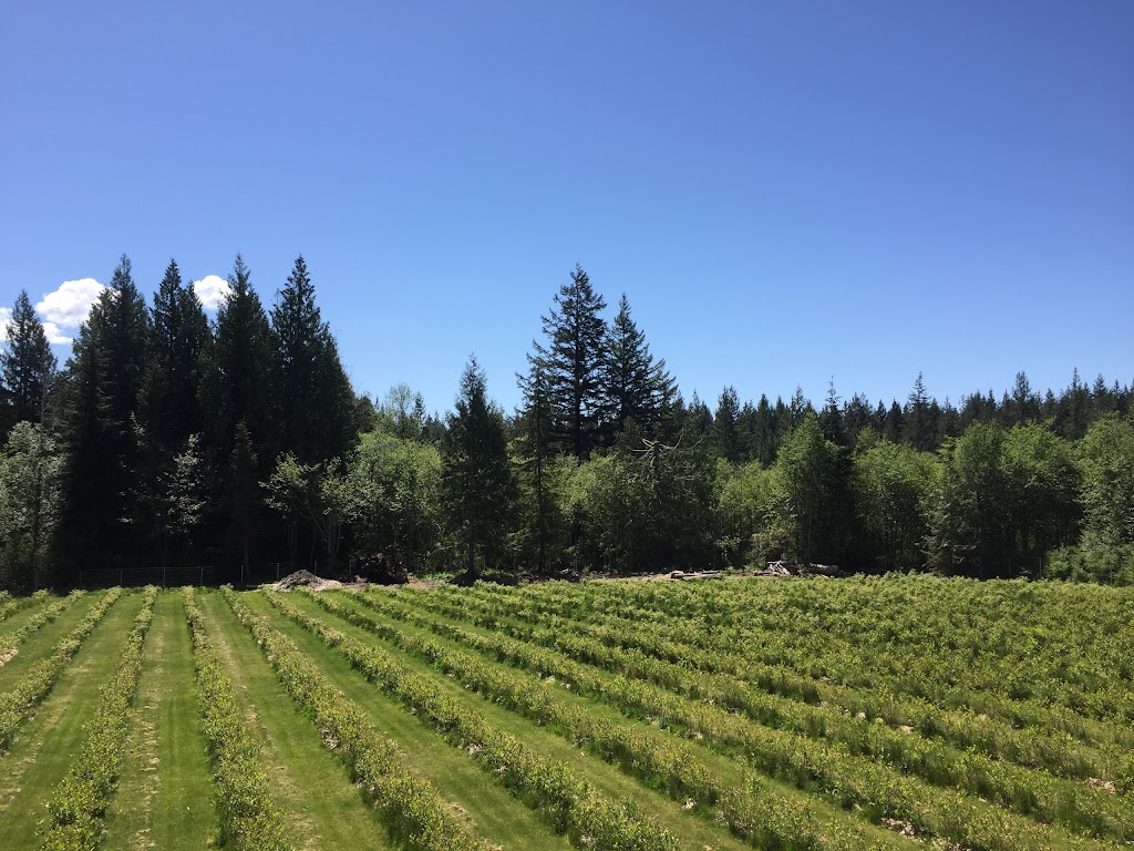 Rusty Gate Berry Farm | 2575 Maywood Rd, Powell River, BC V8A 0P4, Canada | Phone: (604) 740-7215