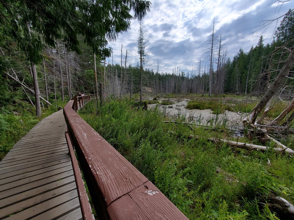 Smuggler Cove Marine Provincial Park | Halfmoon Bay, BC V0N 1Y0, Canada | Phone: (604) 885-3714