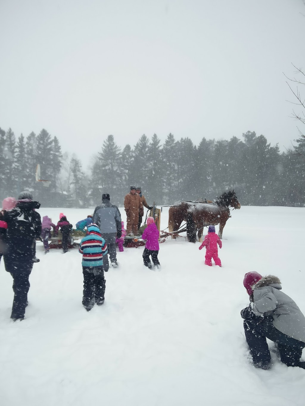 Briargreen Park | Briar Green - Leslie Park, Ottawa, ON K2G, Canada