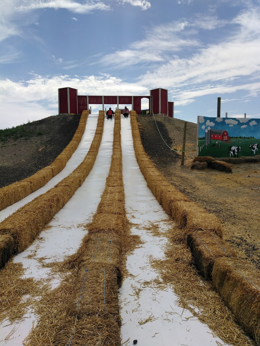 Cobbs Adventure Park | 1500 84 St NE, Calgary, AB T2A 7X4, Canada | Phone: (403) 210-2676