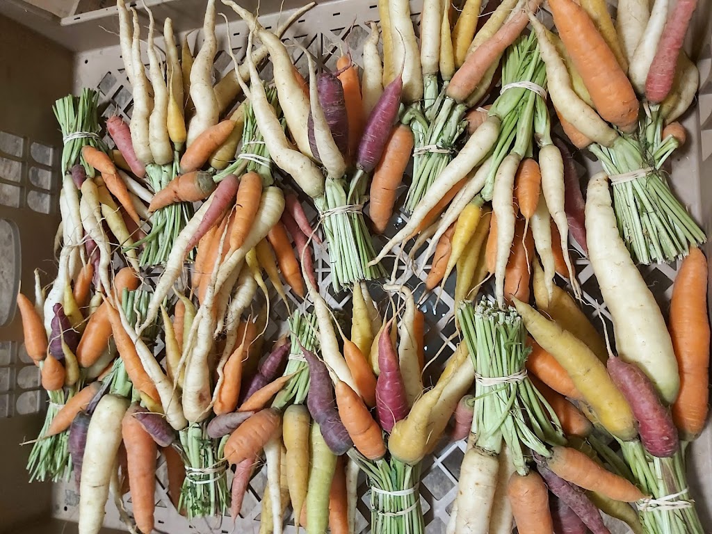 Fruits N Roots Farm | 21 Maple Ln, Newport, NS B0N 2A0, Canada | Phone: (902) 306-7529