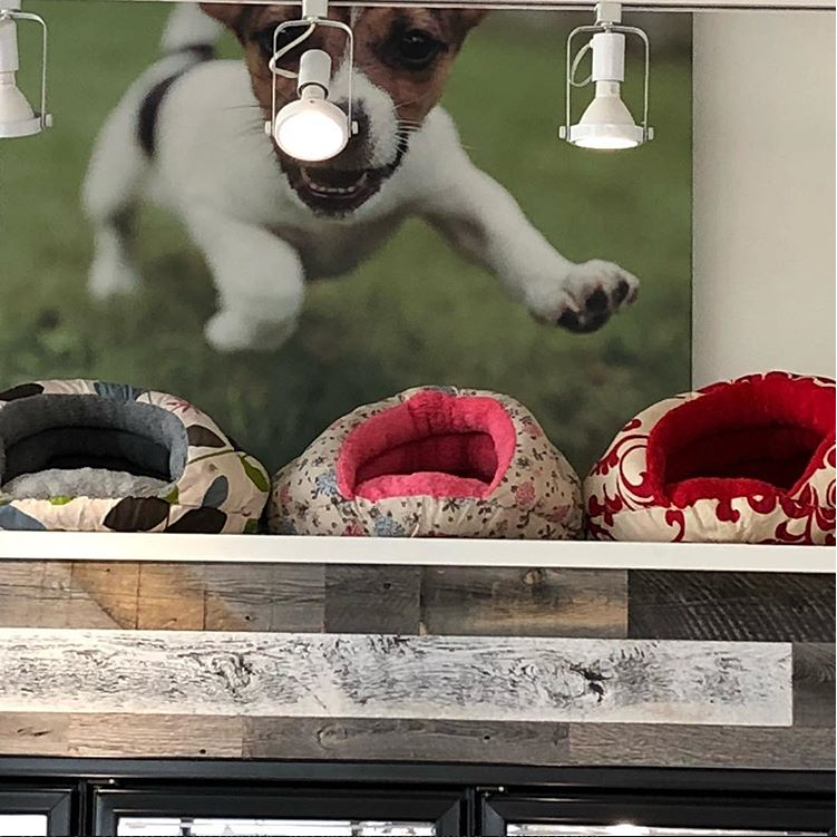 The Bone & Biscuit Co. | 1625 210 Ave SE #118, Calgary, AB T2X 4K8, Canada | Phone: (587) 625-0804