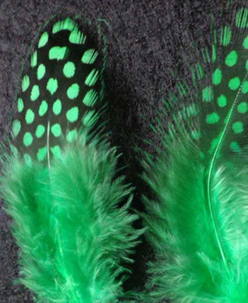 The Feather Guy | 2009 Lawrence Ave W #9, York, ON M9N 3V2, Canada | Phone: (416) 241-3364