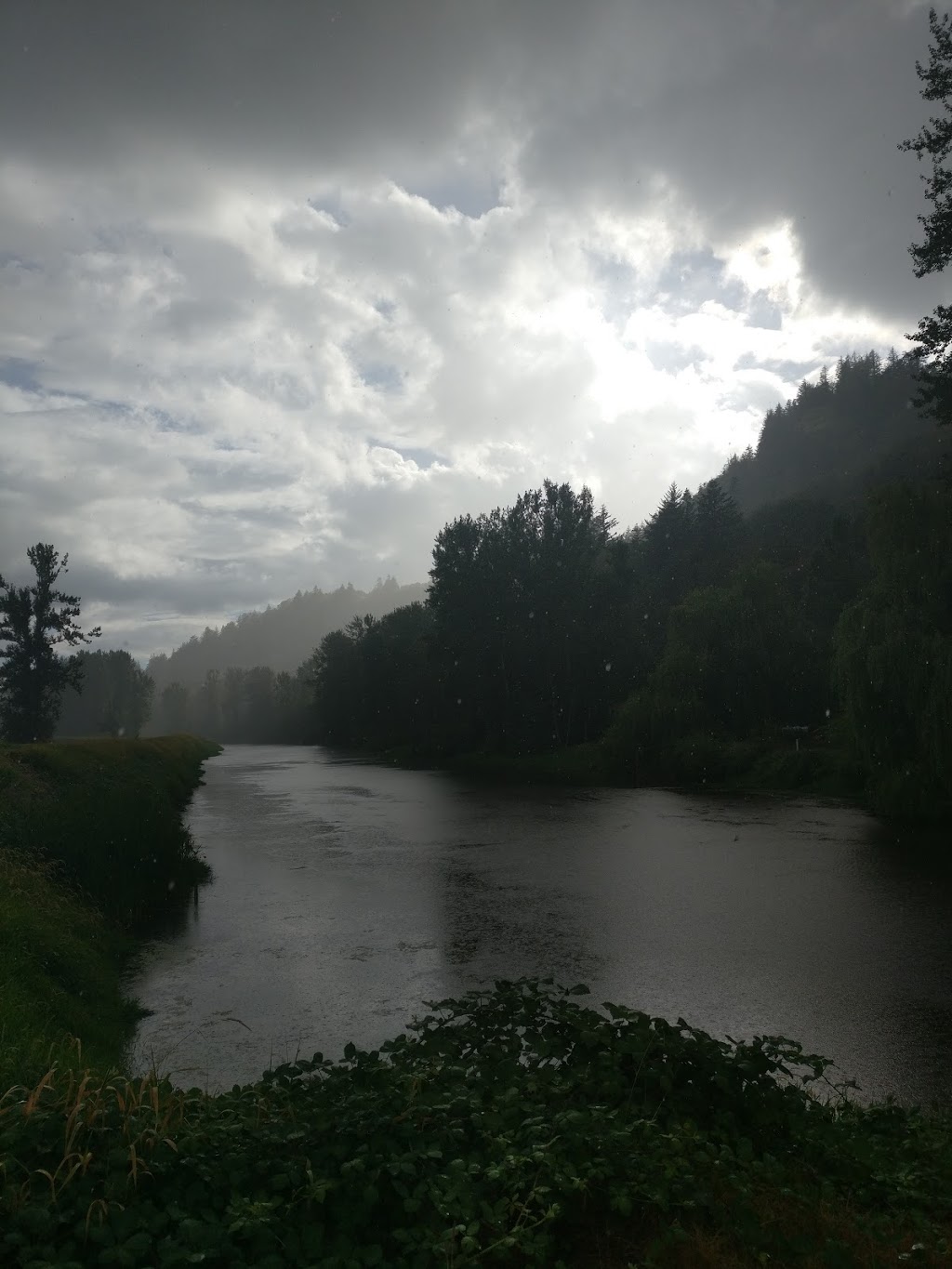 MacKay Creek Trail | 4010-4102 Lakemount Rd, Abbotsford, BC V3G 2J1, Canada