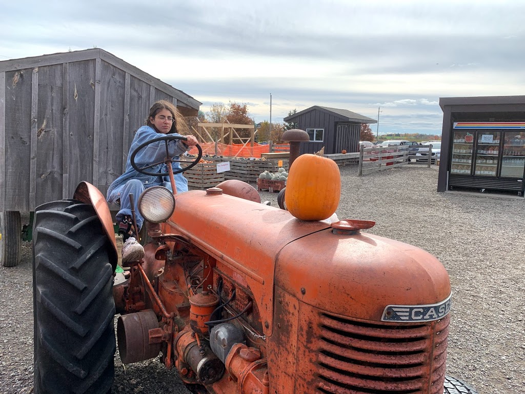 Downeys Apple Farm | 13707 Heart Lake Rd, Inglewood, ON L7C 2K7, Canada | Phone: (905) 838-4777