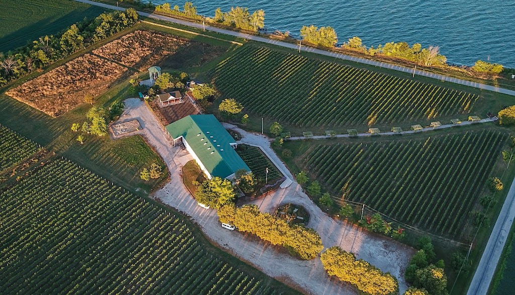 Pelee Island Winery Pavilion | 20 East West Rd, Pelee Island, ON N0R 1M0, Canada | Phone: (519) 724-2469