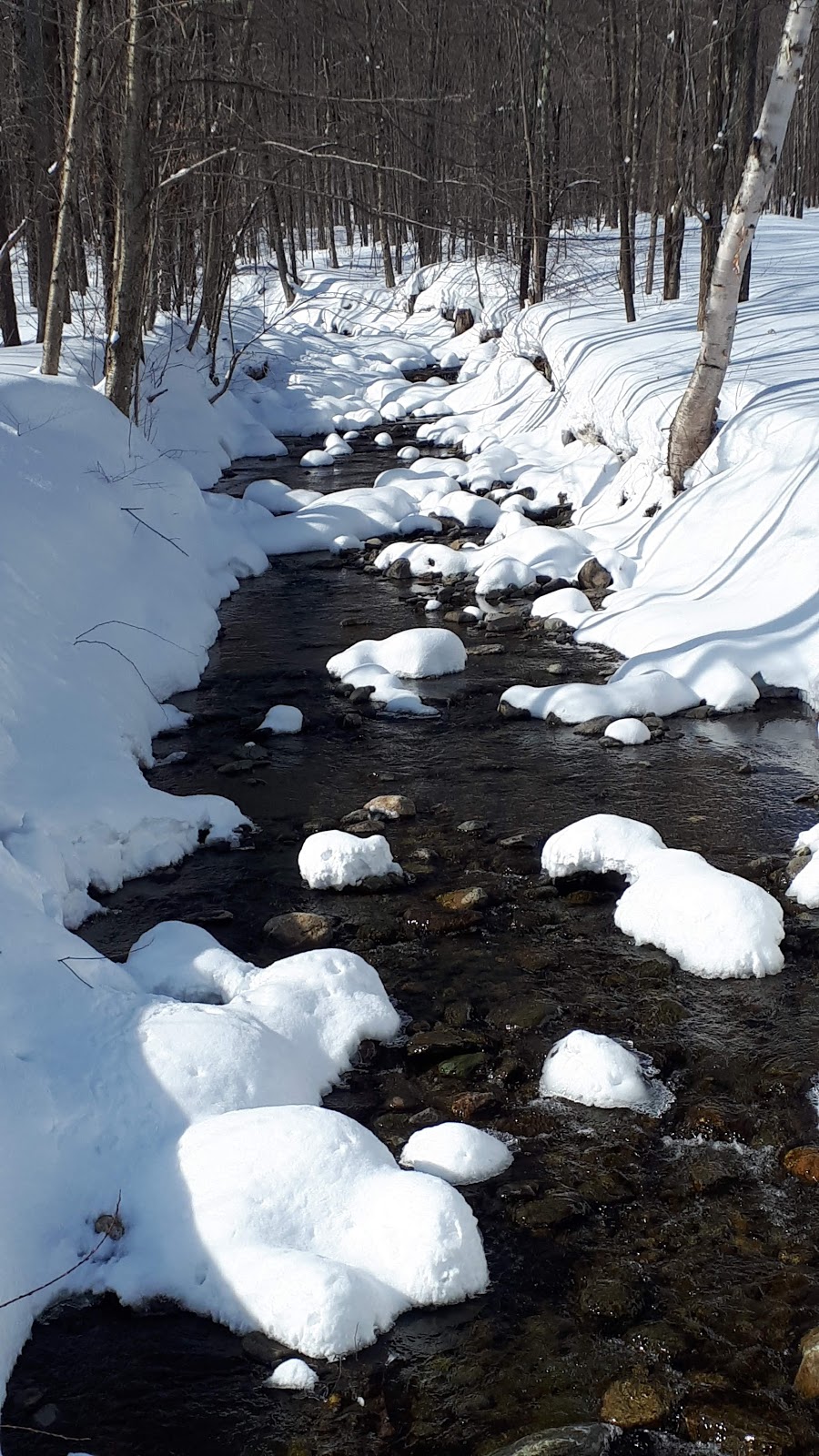 Paradis Sauvage Géronimo | 5 Chemin Ledoux, Saint-Étienne-de-Bolton, QC J0E 2E0, Canada | Phone: (450) 297-0240