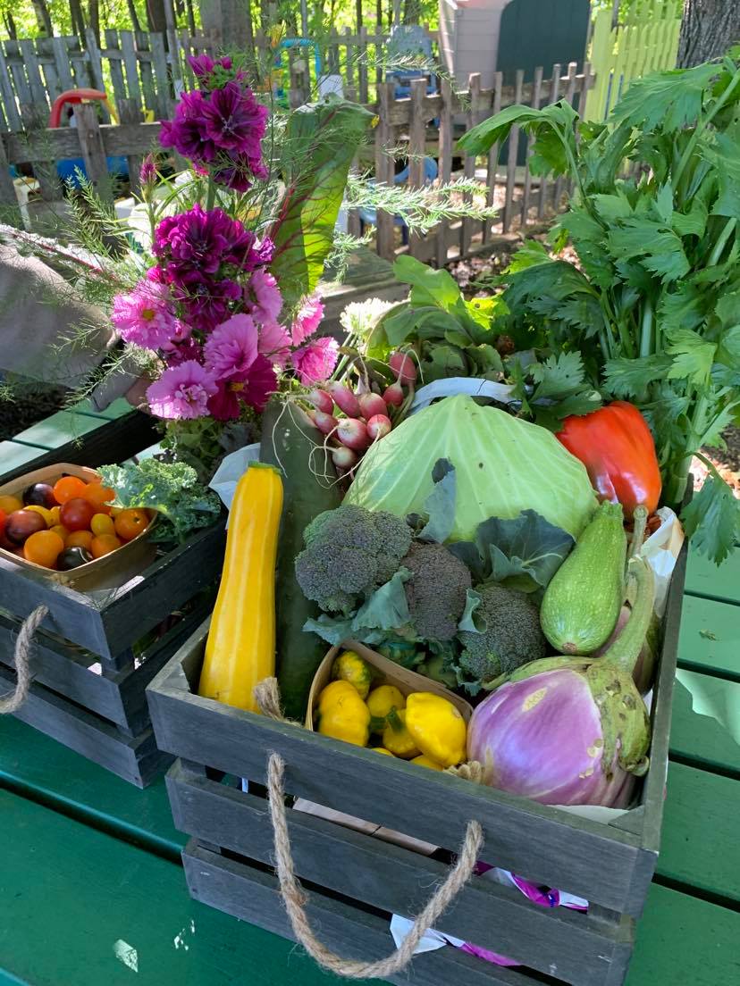 Ateliers à la Terre Garden | Accès derrière le cabanon au fond du stationnement, 2400 Av. DEstimauville, Québec, QC G1E 6W2, Canada | Phone: (418) 523-4580