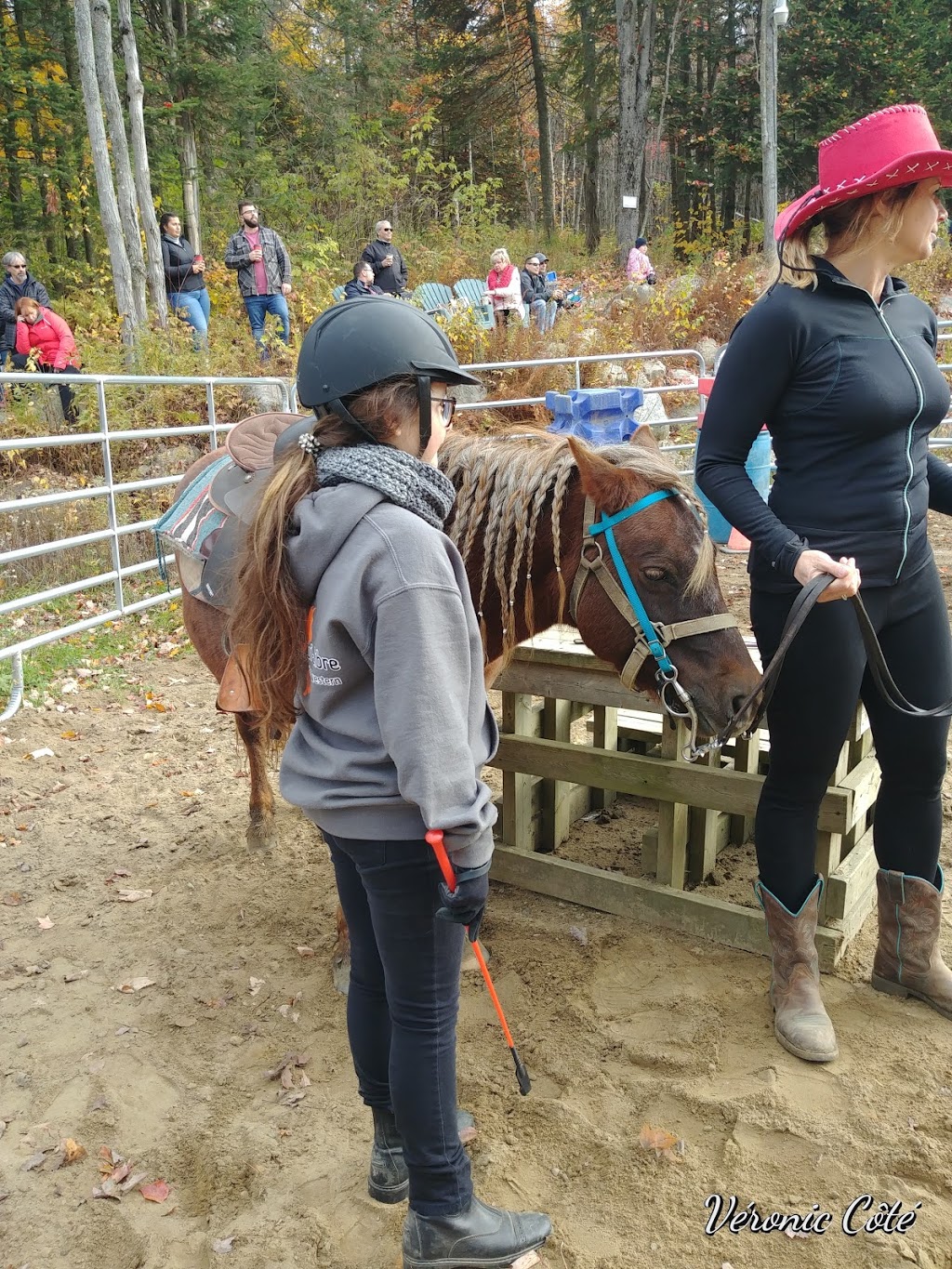 Domaine Léqui-Libre - Camp École Déquitation | 100 Chemin Wexford, Fossambault-sur-le-Lac, QC G3N 0M5, Canada | Phone: (418) 951-9002