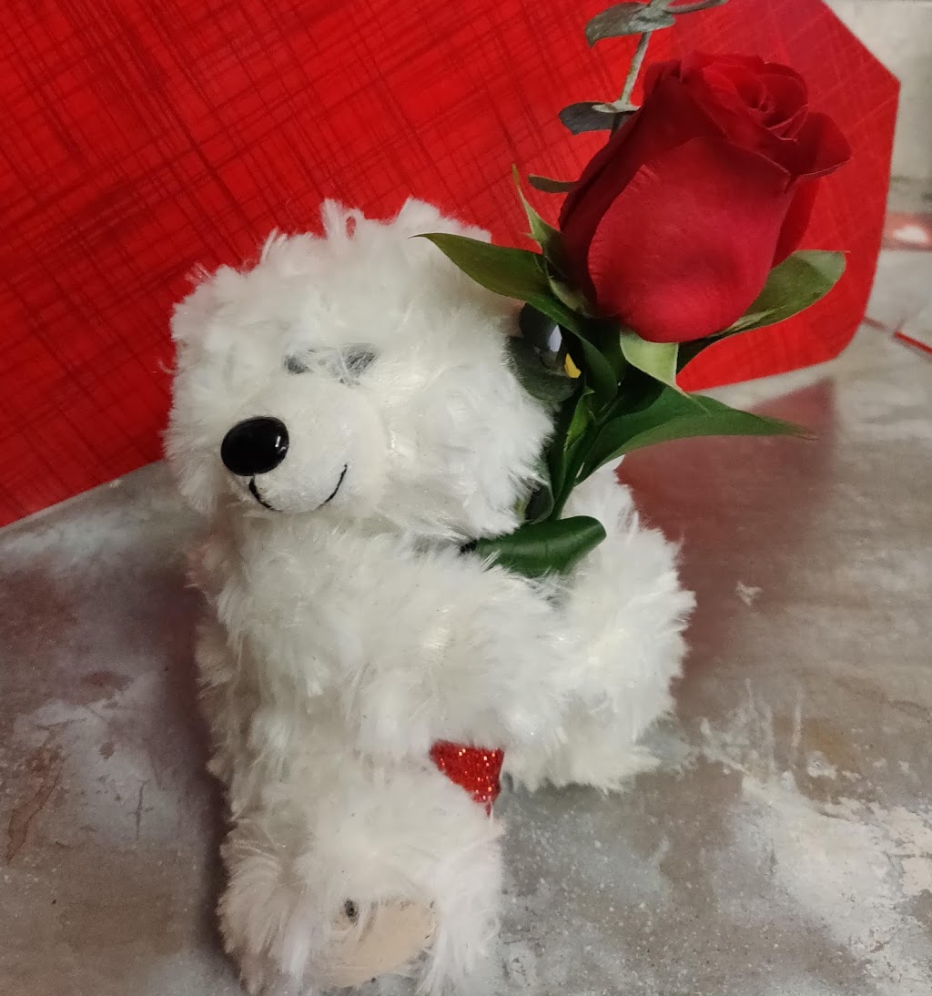 Fresh Flowers | Bloomex Self-Serve Flower Shop | Carlingwood | 2121 Carling Ave #18A, Ottawa, ON K2A 1H2, Canada | Phone: (888) 912-5666