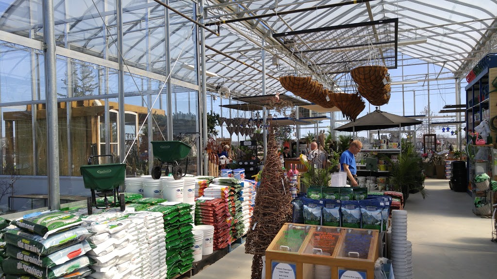 Royal City Nursery | 6838 Wellington Rd 124, Guelph, ON N1H 6J4, Canada | Phone: (519) 824-4998