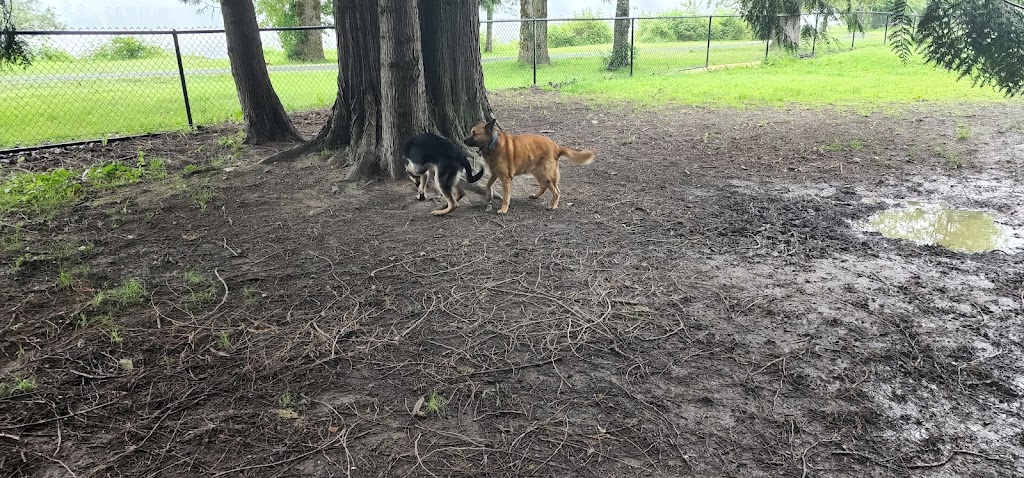 Island 22 dog park | Cartmell Rd, Chilliwack, BC V2P 0C8, Canada | Phone: (778) 836-7335