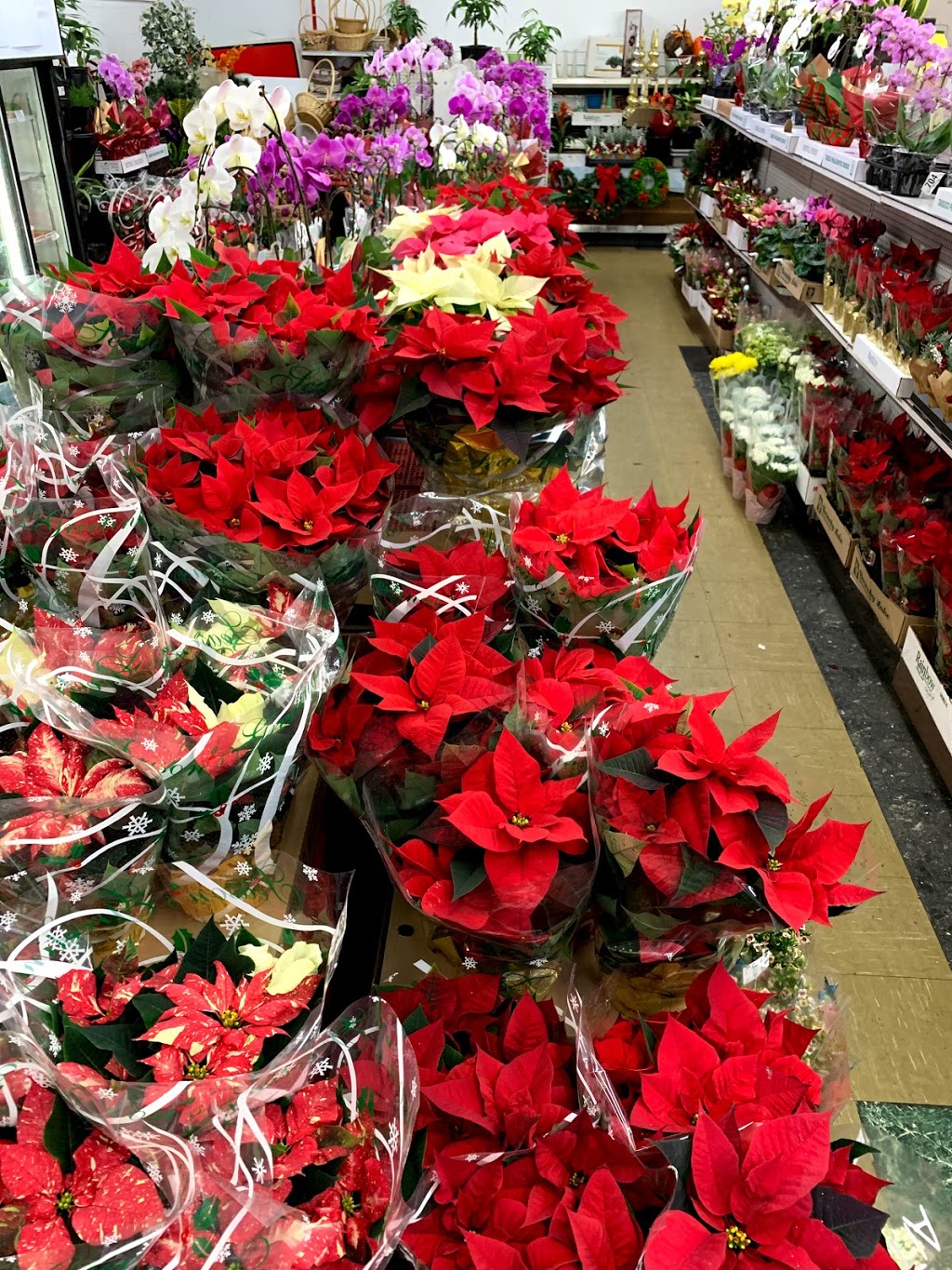 Trafalgar Food Market & Flowers | 4398 Imperial St, Burnaby, BC V5J 1A9, Canada | Phone: (604) 433-3545
