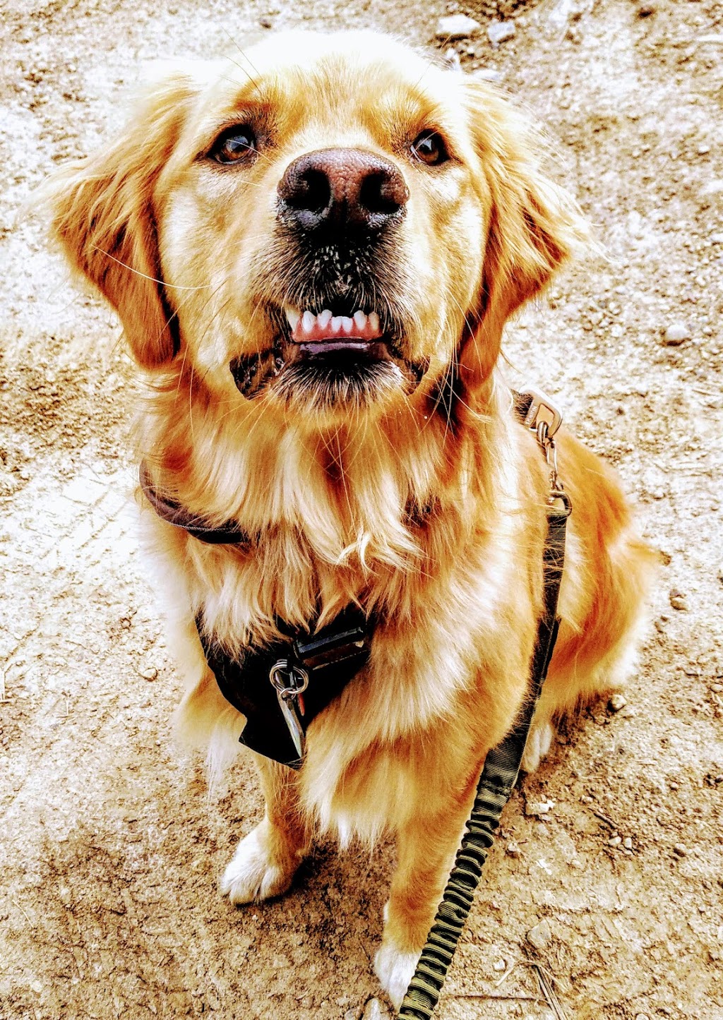 Ruffing It | 345 Concession Rd 10 #349, Port Elgin, ON N0H 2C6, Canada | Phone: (844) 444-7833