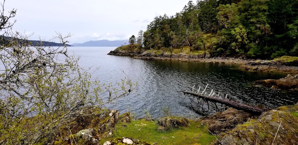 Mckenzie Bight | Highlands, BC, Canada