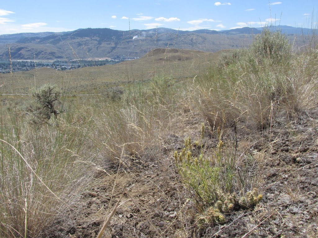 McKergow Meadows | 11503 Middleton Mountain Trail - McKergow Meadows, Vernon, BC V1B 2Z3, Canada