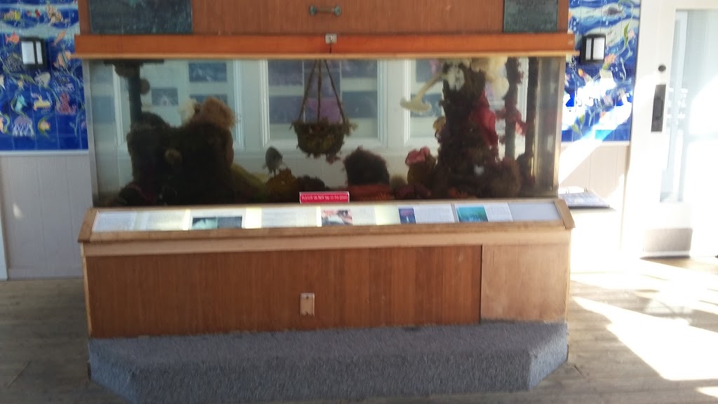 Spring Street Landing | Salish Sea, Friday Harbor, WA 98250, USA | Phone: (425) 277-1590